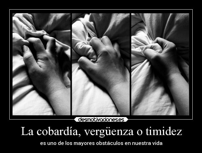 carteles vida cobardia verguenza timidez obstaculo desmotivaciones