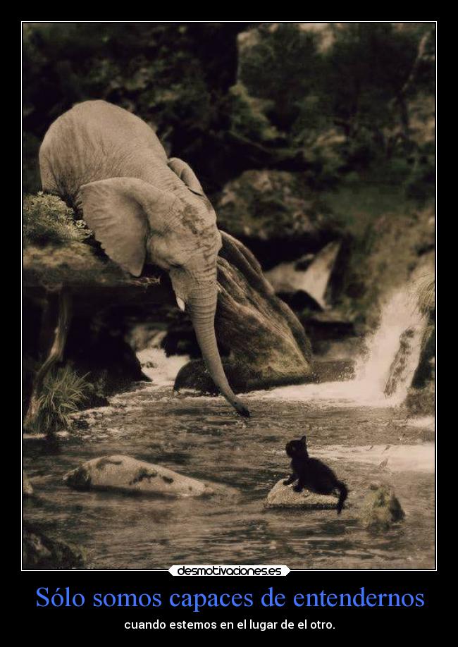 Sólo somos capaces de entendernos - cuando estemos en el lugar de el otro.