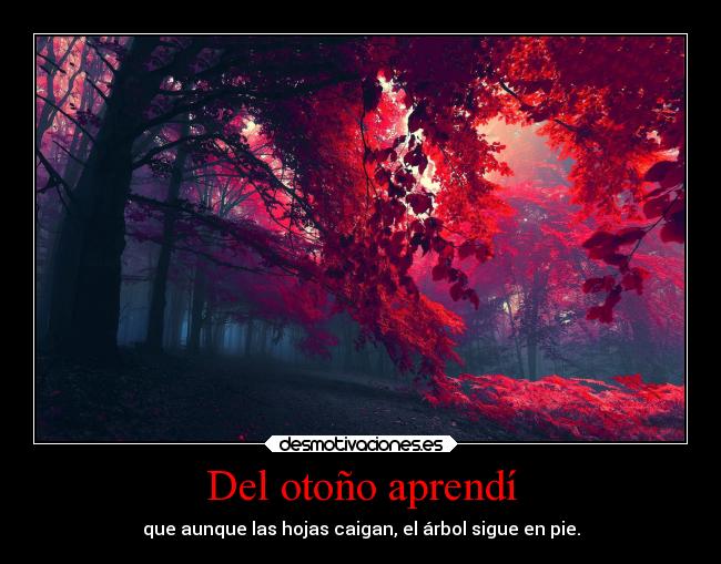 Del otoño aprendí - 