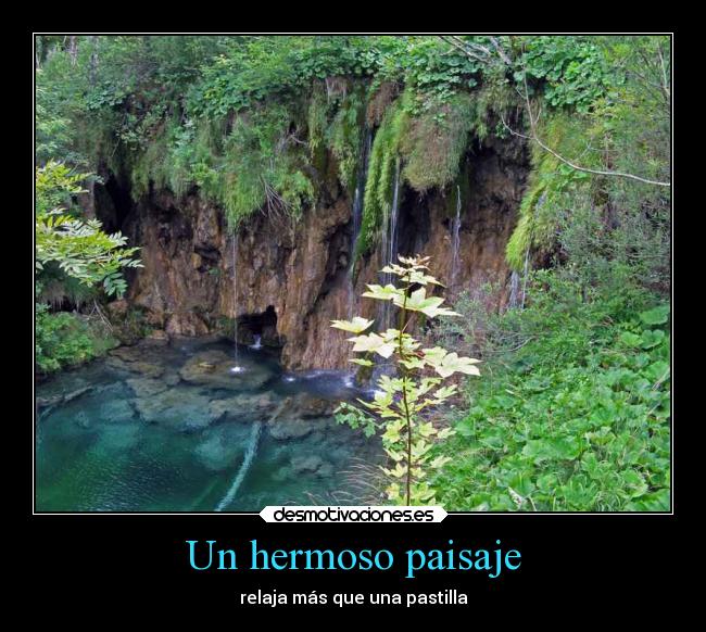 Un hermoso paisaje - relaja más que una pastilla