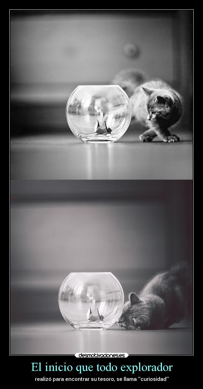 carteles vida desmotivaciones