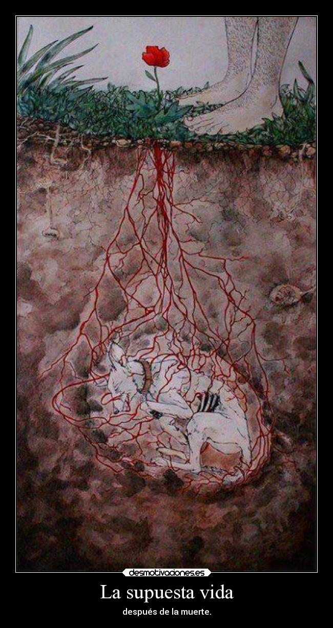 La supuesta vida - después de la muerte.