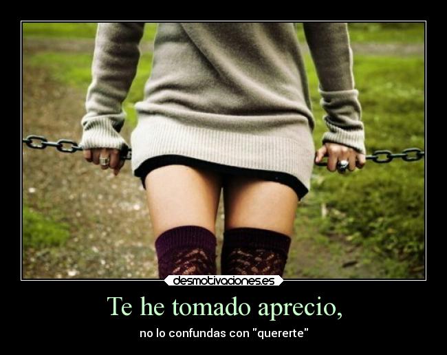 Te he tomado aprecio, - no lo confundas con quererte