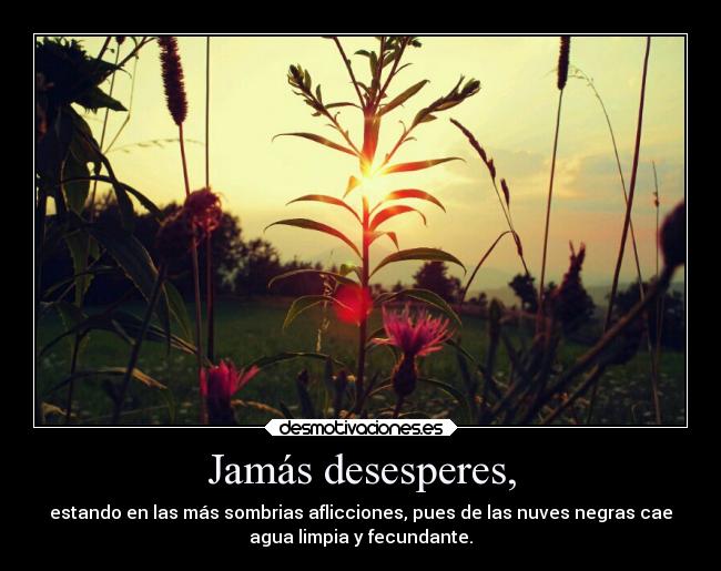 carteles vida emociones toxicas noche empalme leyendo esto desmotivaciones