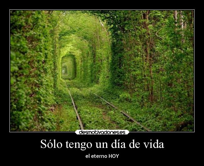 Sólo tengo un día de vida - el eterno HOY