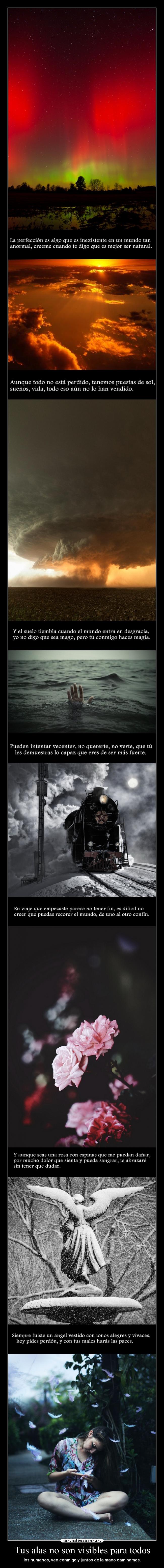 Tus alas no son visibles para todos - 