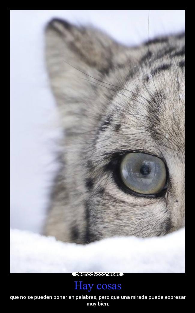 Hay cosas - que no se pueden poner en palabras, pero que una mirada puede expresar
muy bien.
