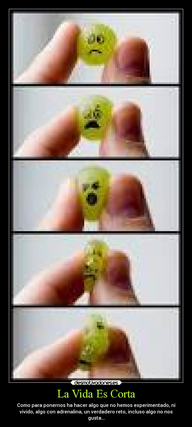 La Vida Es Corta - Como para ponernos ha hacer algo que no hemos experimentado, ni
vivido, algo con adrenalina, un verdadero reto, incluso algo no nos
gusta...