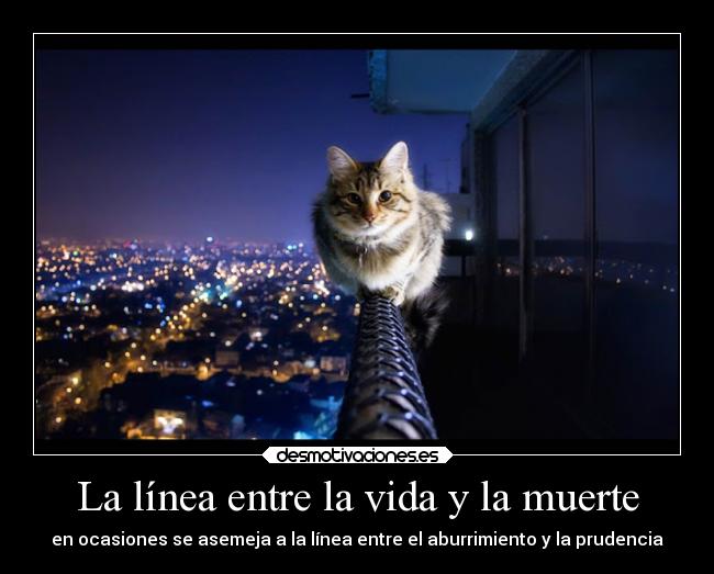 La línea entre la vida y la muerte - en ocasiones se asemeja a la línea entre el aburrimiento y la prudencia