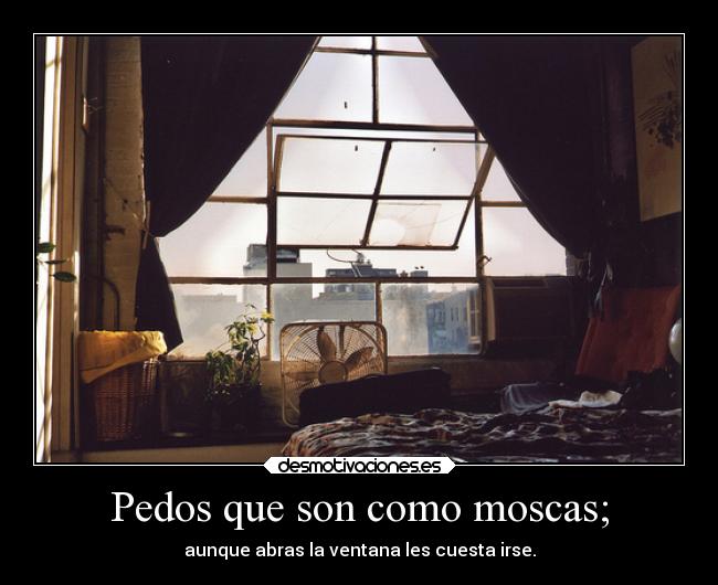 Pedos que son como moscas; -