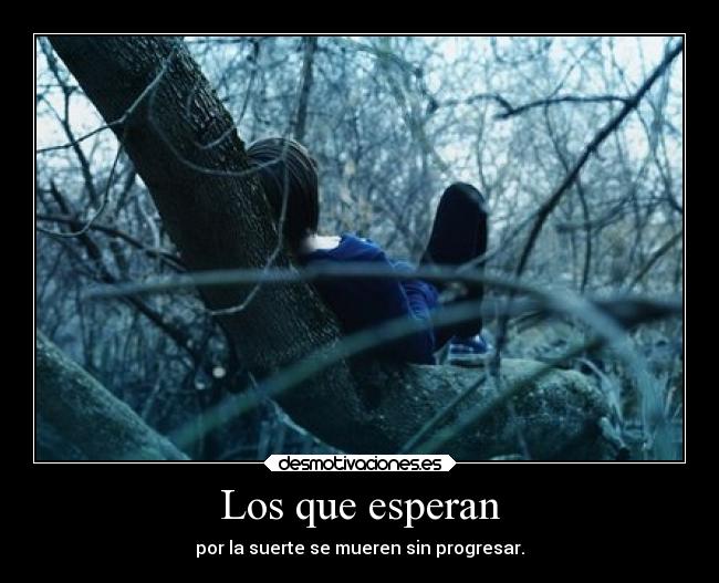 carteles vida pekenocaos desmotivaciones