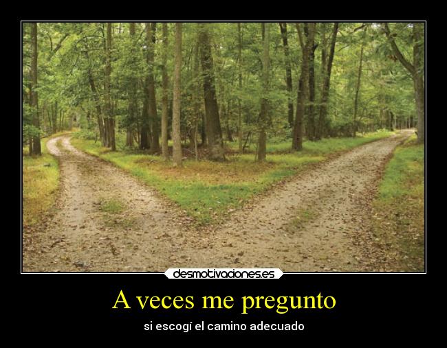 carteles vida preguntas sin respuesta desmotivaciones