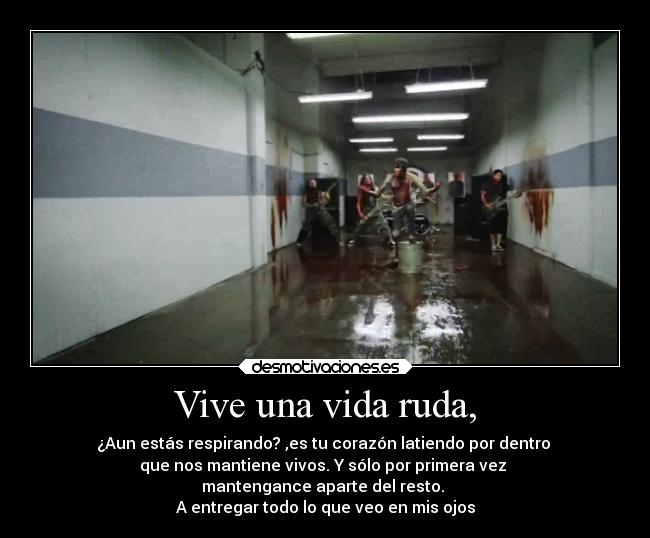 carteles vida rock yolo megacartel demiscancionesfavoritas besosbabosos blablabla metal desmotivaciones