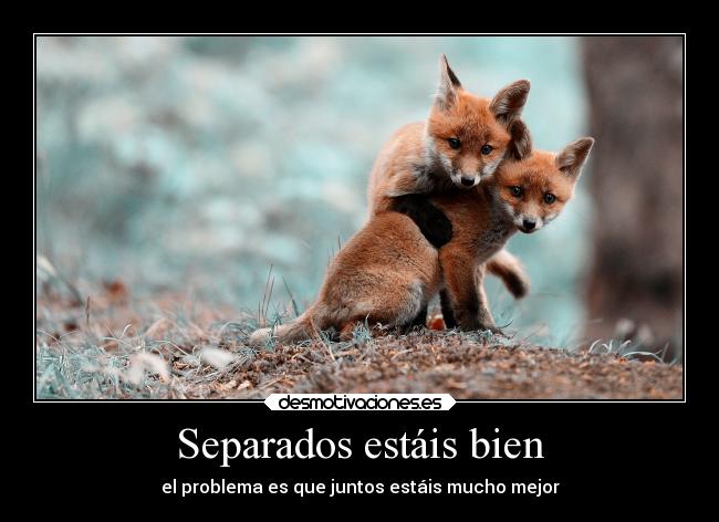 Separados estáis bien - el problema es que juntos estáis mucho mejor
