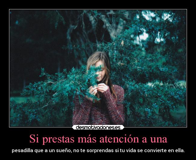 carteles vida suenos pesadilla desmotivaciones