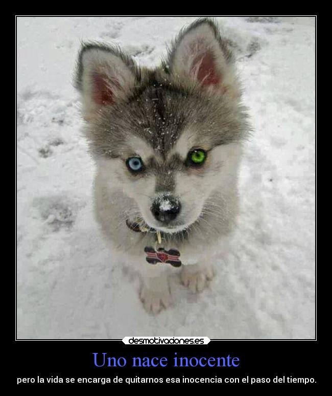 Uno nace inocente - pero la vida se encarga de quitarnos esa inocencia con el paso del tiempo.