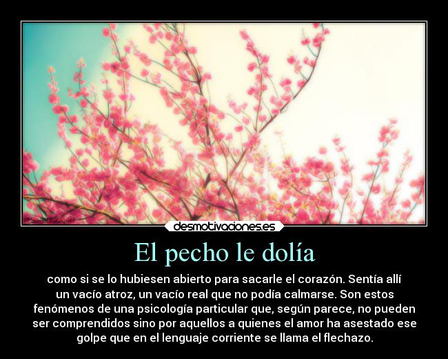 El pecho le dolía - como si se lo hubiesen abierto para sacarle el corazón. Sentía allí
un vacío atroz, un vacío real que no podía calmarse. Son estos
fenómenos de una psicología particular que, según parece, no pueden
ser comprendidos sino por aquellos a quienes el amor ha asestado ese
golpe que en el lenguaje corriente se llama el flechazo.
