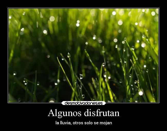 Algunos disfrutan - la lluvia, otros solo se mojan