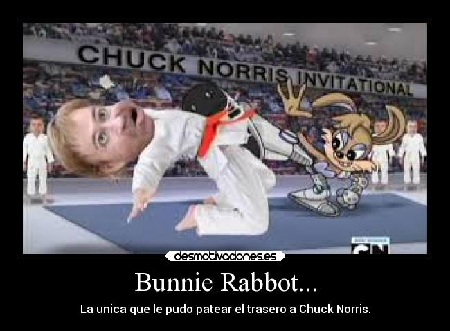 Bunnie Rabbot... - La unica que le pudo patear el trasero a Chuck Norris.