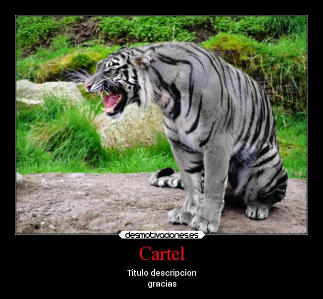 carteles abrazos clanhoygan desmotivaciones