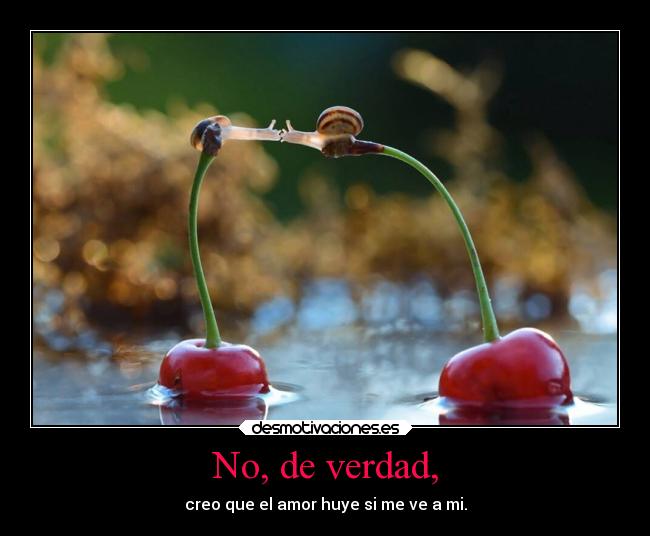 carteles alegria animales arte ayuda ausencia confianza thereason lebron23 desmotivaciones