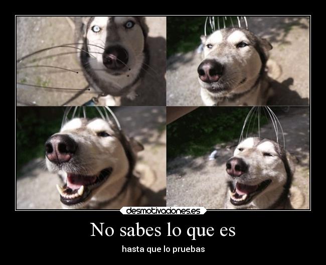 No sabes lo que es - 