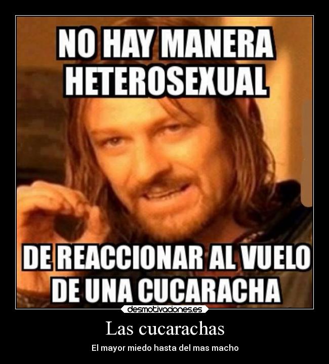 carteles alegria desmotivaciones