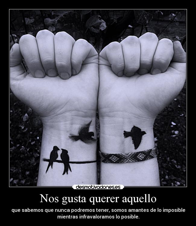 Nos gusta querer aquello - 