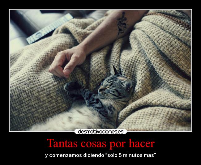 Tantas cosas por hacer - y comenzamos diciendo “solo 5 minutos mas