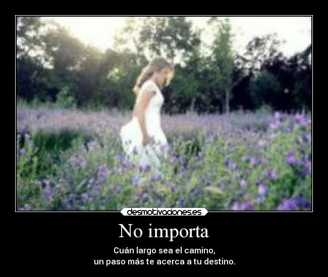 No importa - Cuán largo sea el camino,
un paso más te acerca a tu destino.