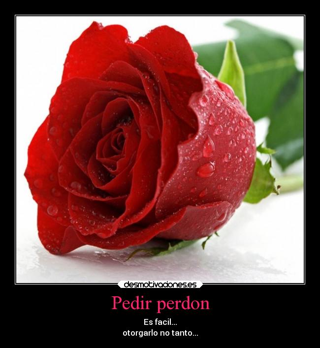Pedir perdon -