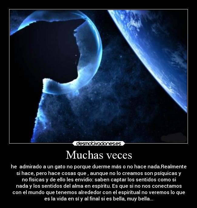 Muchas veces - he  admirado a un gato no porque duerme más o no hace nada.Realmente
si hace, pero hace cosas que , aunque no lo creamos son psíquicas y
no físicas y de ello les envidio: saben captar los sentidos como si
nada y los sentidos del alma en espíritu. Es que si no nos conectamos
con el mundo que tenemos alrededor con el espiritual no veremos lo que
es la vida en sí y al final si es bella, muy bella...