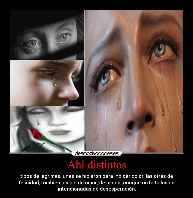 Ahí distintos - tipos de lagrimas, unas se hicieron para indicar dolor, las otras de
felicidad, también las ahí de amor, de miedo, aunque no falta las no
intencionadas de desesperación.