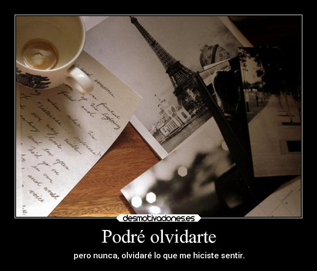 Podré olvidarte - pero nunca, olvidaré lo que me hiciste sentir.