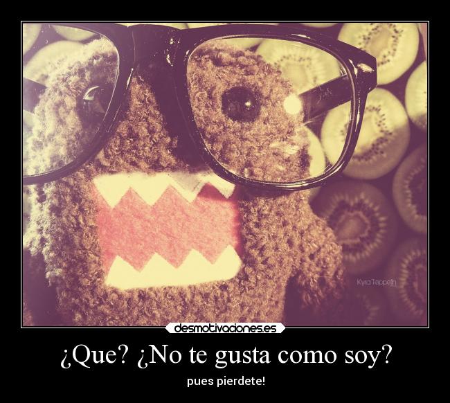 ¿Que? ¿No te gusta como soy? - 