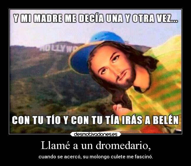 Llamé a un dromedario, -