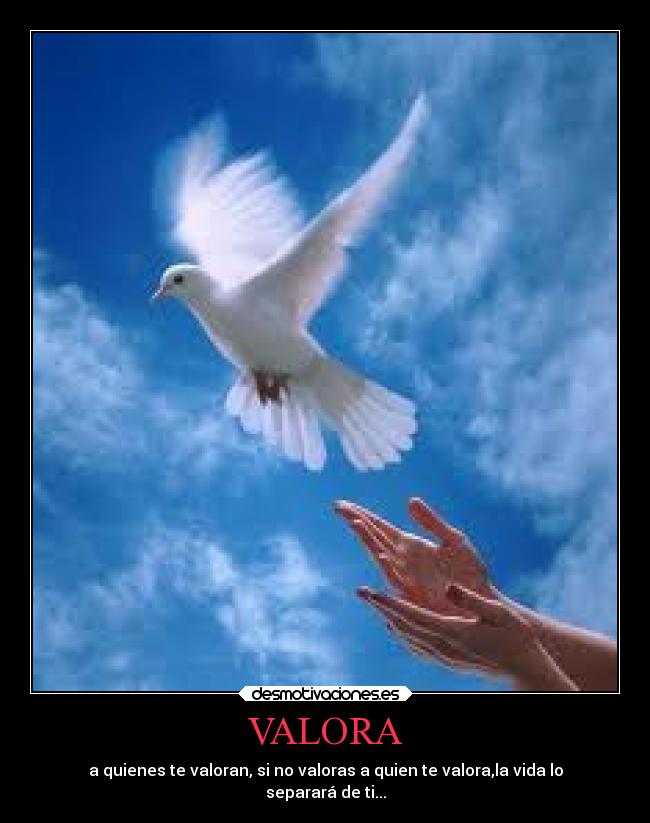 carteles alma lucas gomez desmotivaciones