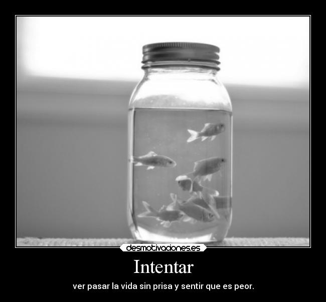 Intentar - ver pasar la vida sin prisa y sentir que es peor.