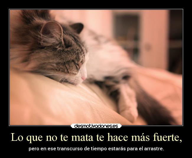 Lo que no te mata te hace más fuerte, - 