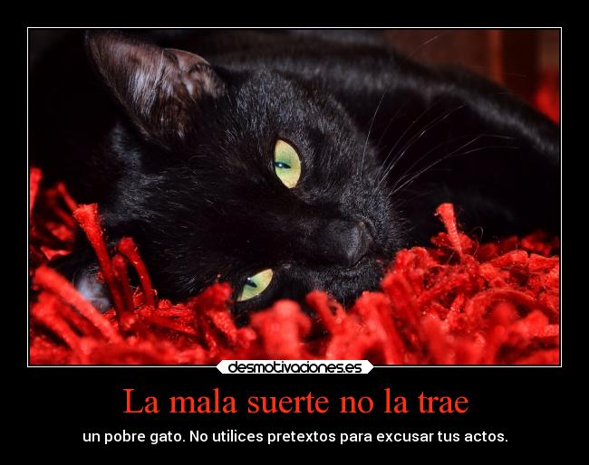 La mala suerte no la trae -