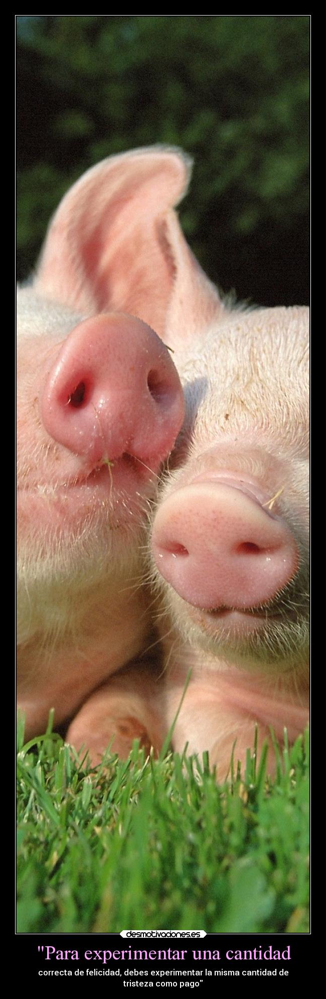 Para experimentar una cantidad -