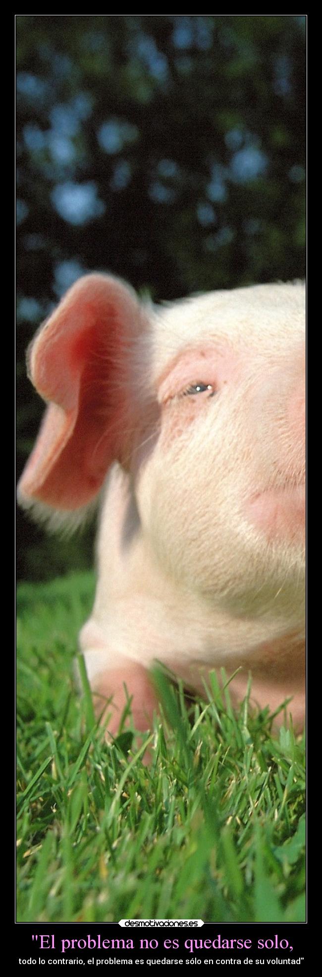 El problema no es quedarse solo, -