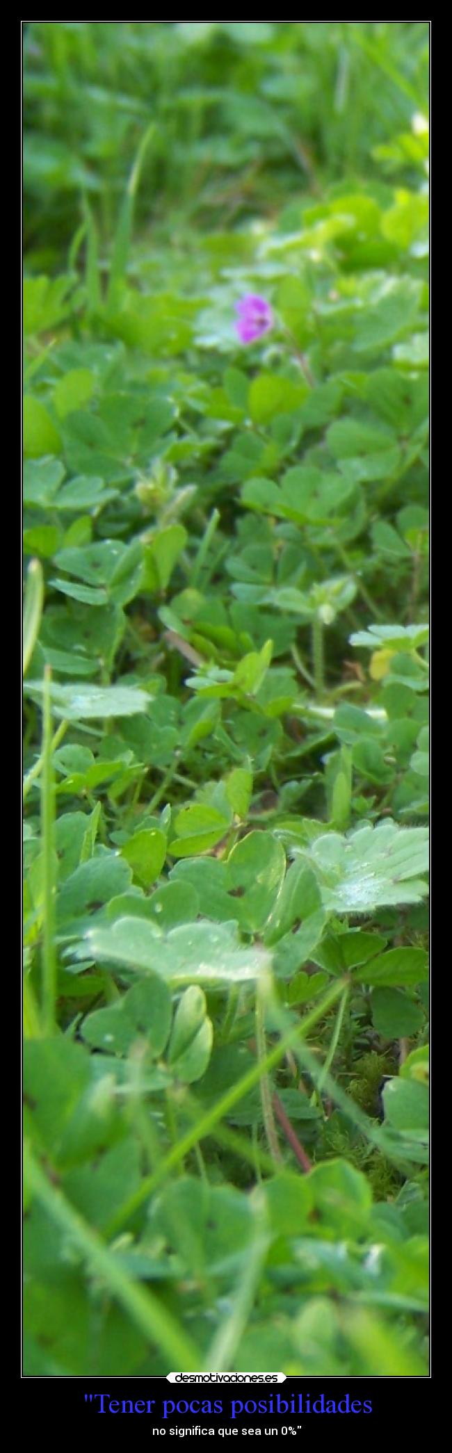 Tener pocas posibilidades -