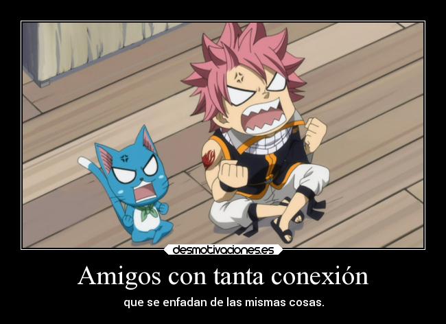 Amigos con tanta conexión - que se enfadan de las mismas cosas.