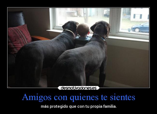 Amigos con quienes te sientes -