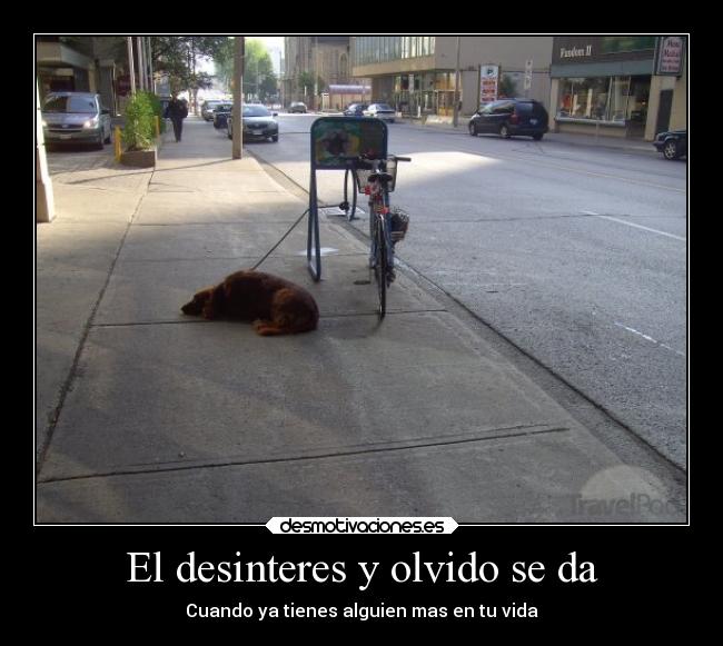 El desinteres y olvido se da -