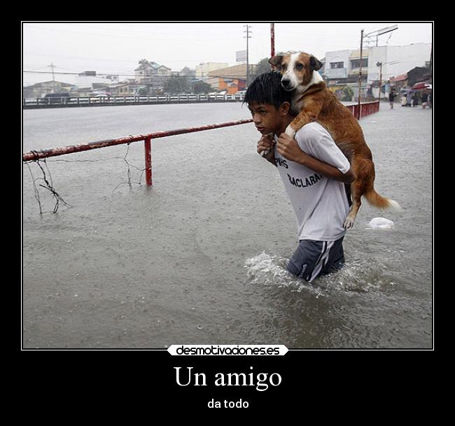 Un amigo - 