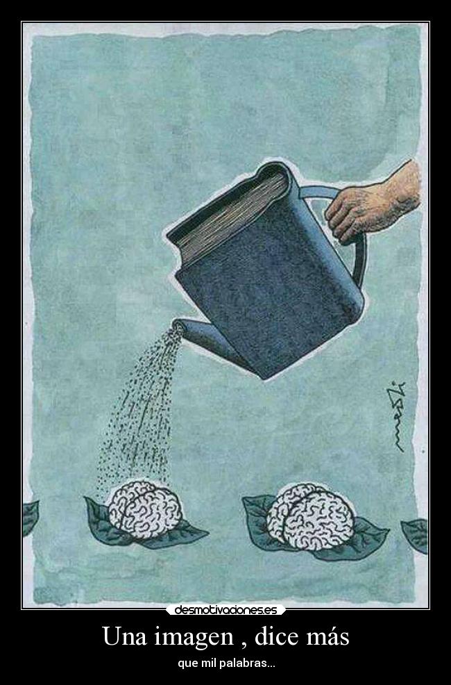 Una imagen , dice más - 