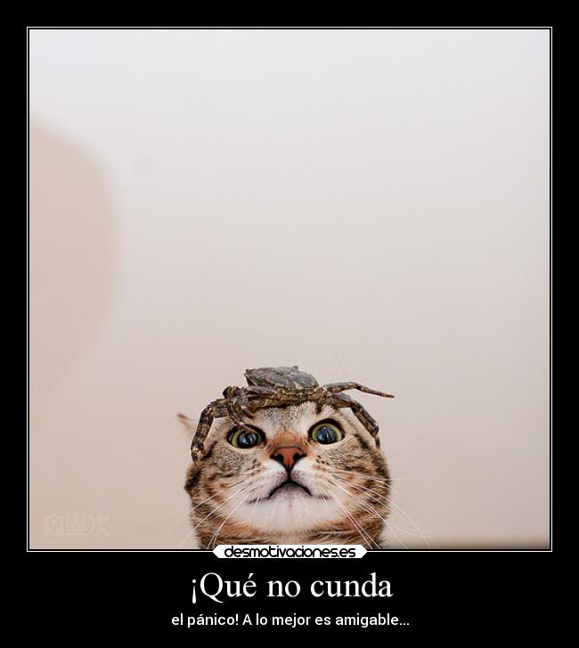 ¡Qué no cunda - 