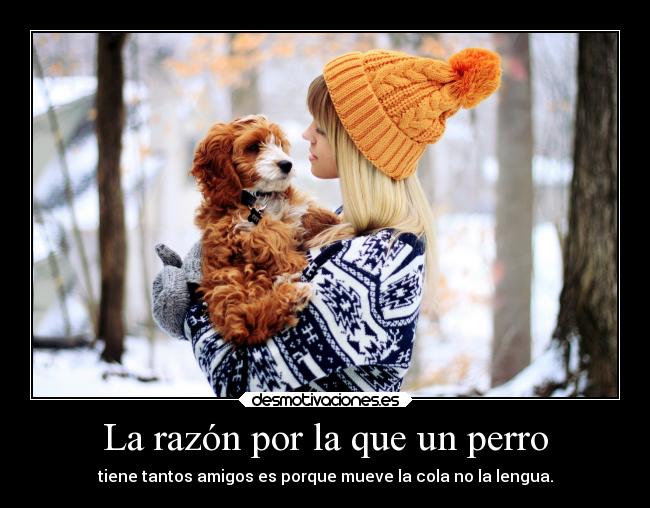 La razón por la que un perro -